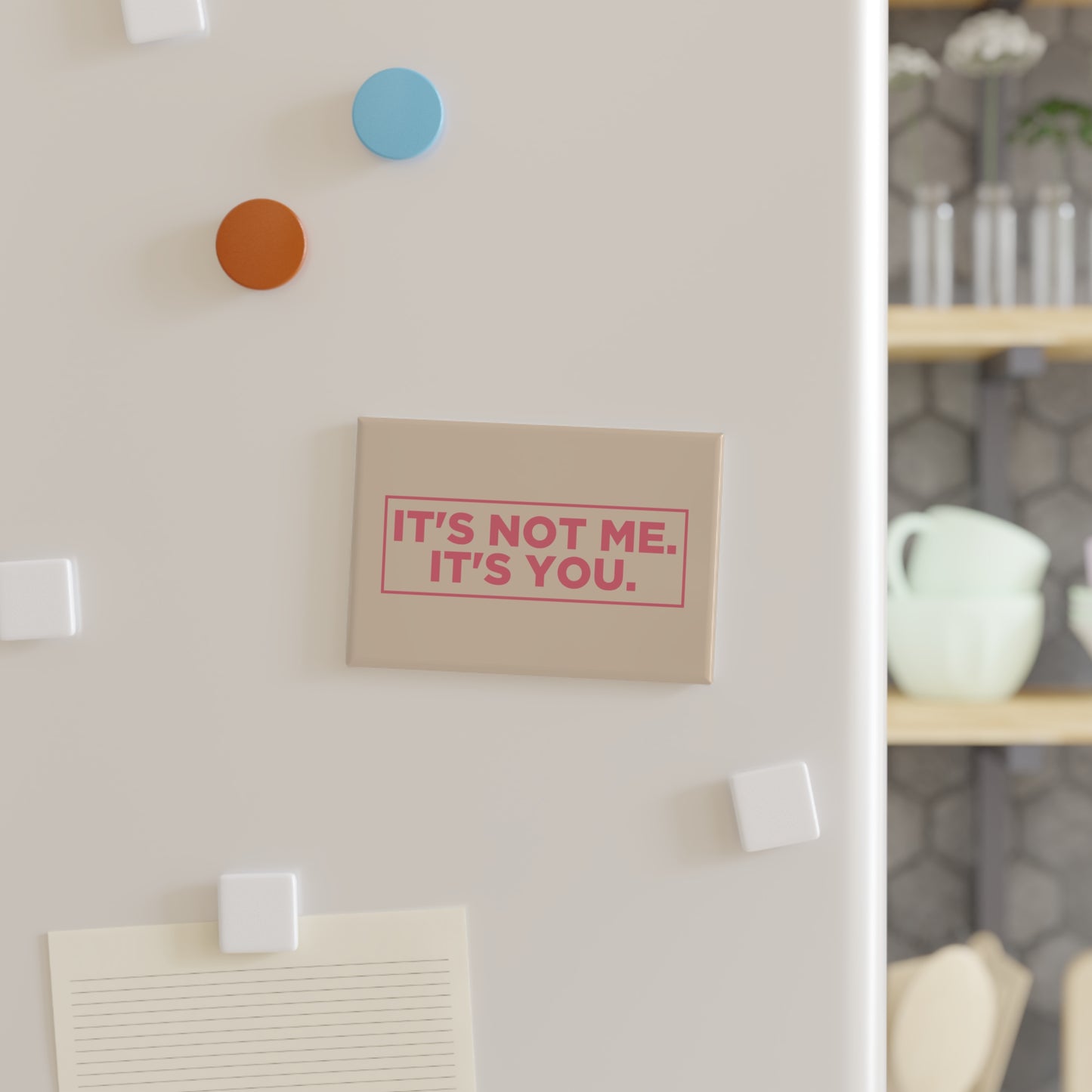 It's Not Me. It's You. Magnet