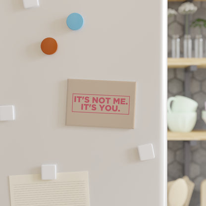 It's Not Me. It's You. Magnet